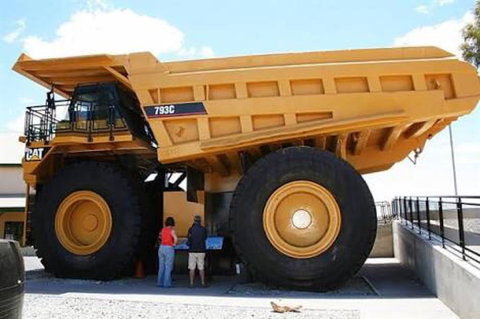 Paddys Golden Patch - Australian Destinations 0