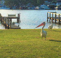Riverfront Getaway - Mannum - Australian Destinations