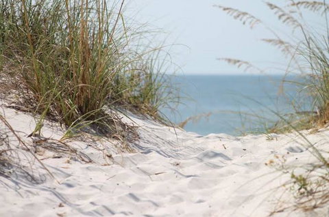 Seas The Day - Australian Destinations 0
