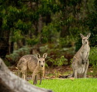 Secura Lifestyle Countryside Kalaru - Australian Destinations