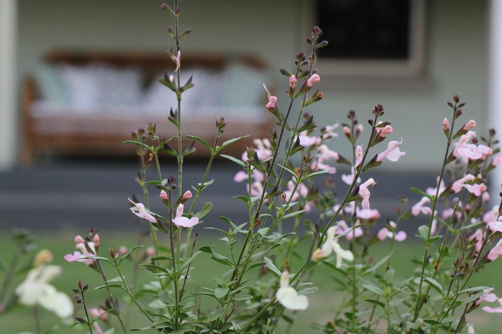 Allynbrook ACT Australian Destinations