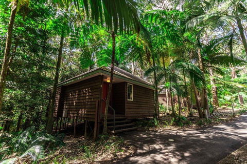 Songbirds Rainforest Retreat - Australian Destinations 2
