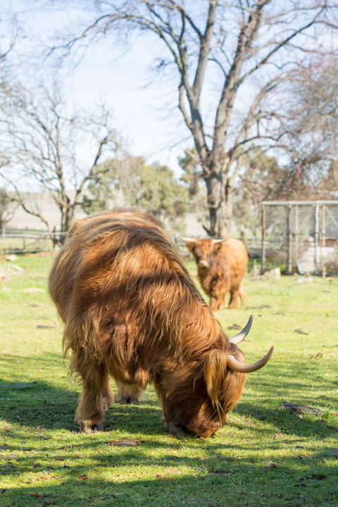 Ratho Farm - Australian Destinations 4