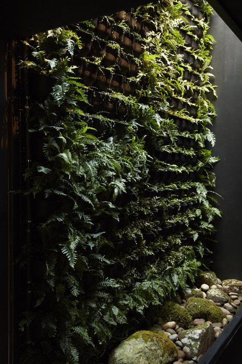 Moss Hotel - Australian Destinations 2