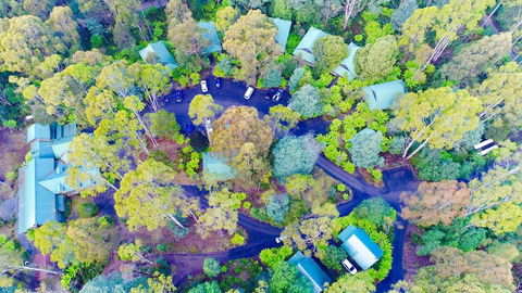 Lemonthyme Wilderness Retreat - Australian Destinations 1