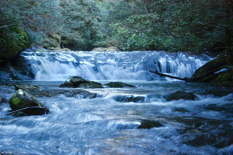 Lemonthyme Wilderness Retreat - Australian Destinations 10