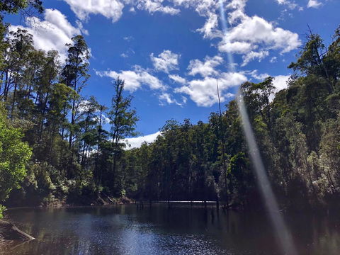 Lemonthyme Wilderness Retreat - Australian Destinations 7