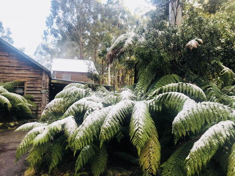 Lemonthyme Wilderness Retreat - Australian Destinations 5