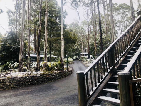 Lemonthyme Wilderness Retreat - Australian Destinations 15