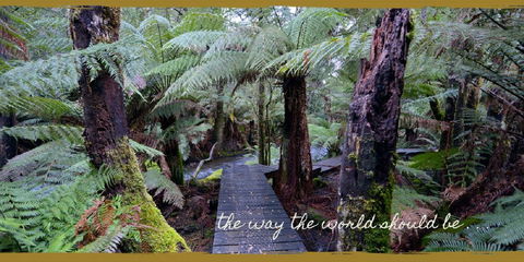 Lemonthyme Wilderness Retreat - Australian Destinations 17