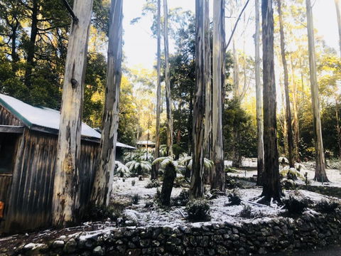 Lemonthyme Wilderness Retreat - Australian Destinations 6