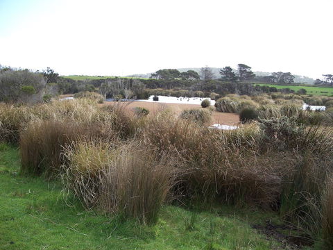 Cloudy Bay Beach House - Australian Destinations 24