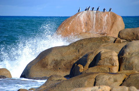 Cloudy Bay Beach House - Australian Destinations 29
