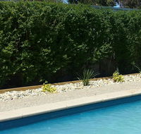 Robinvale Bridge Motel - Australian Destinations