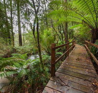 The Source Otways - Australian Destinations