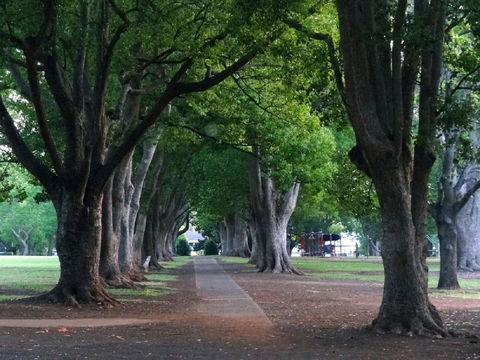 Comfort Inn Grammar View - Australian Destinations 19