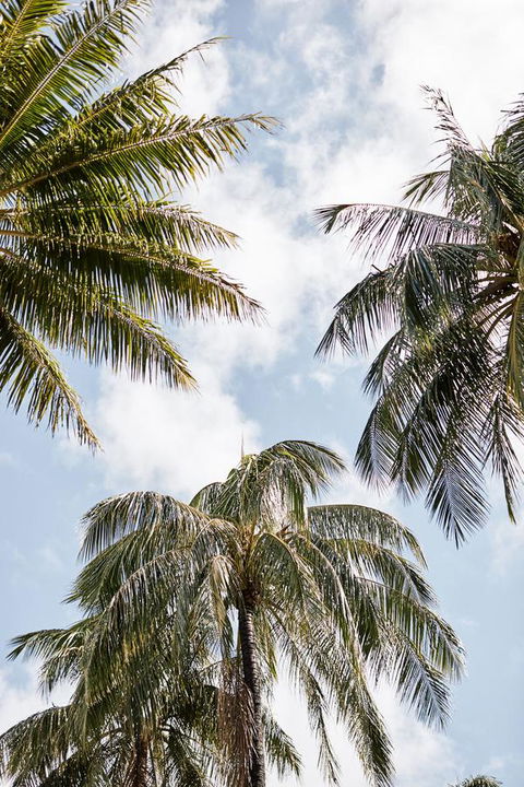 Novotel Cairns Oasis Resort - Australian Destinations 9