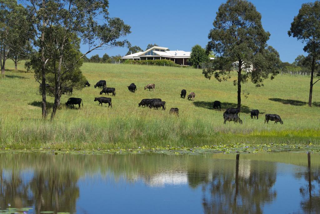 Crawford River NSW Australian Destinations