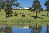 Book Nabiac Accommodation Vacations Australian Destinations Australian Destinations