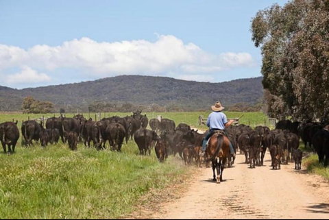 Butmaroo Station - Australian Destinations 1