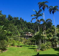 A Daintree Garden - Australian Destinations
