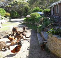 Anchorage Apartments - Australian Destinations