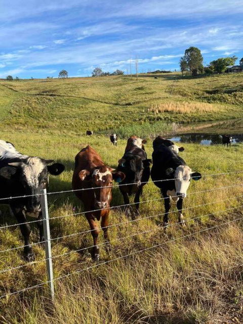 Modern Farmhouse - Australian Destinations 3