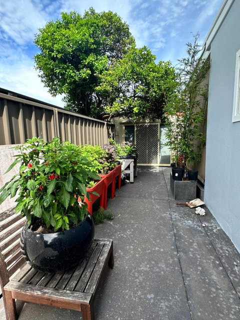 Private, Local Living Studio In Mascot, Airport - Australian Destinations 2