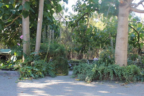 Avoca Park - Australian Destinations 0