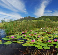 Barrington Hideaway- River Cottages - Australian Destinations