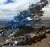 kunanyi / Mt Wellington Explorer Bus - 2 Hour Return Tour - Australian Destinations