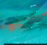 Private Tangalooma Wrecks Tour - Australian Destinations