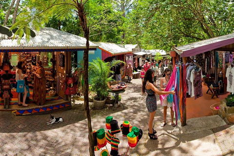 Kuranda Day Trip From Port Douglas Upgrade To Skyrail & Scenic Train Available - Australian Destinations 2