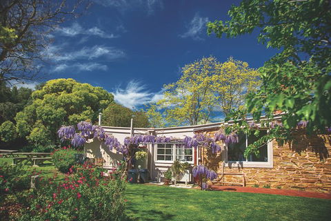 McLaren Vale Winery Small Group Tour With Wine Tasting And Lunch - Australian Destinations 2