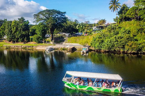 Afternoon Half-Day Daintree Rainforest And River Tour - Australian Destinations 1
