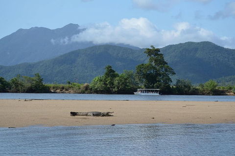 Afternoon Half-Day Daintree Rainforest And River Tour - Australian Destinations 2
