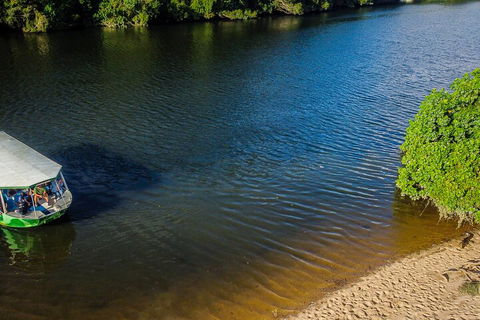 Afternoon Half-Day Daintree Rainforest And River Tour - Australian Destinations 3