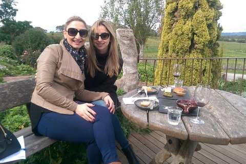 McLaren Vale Intimate Winery Tour By Private Limo - Australian Destinations 4