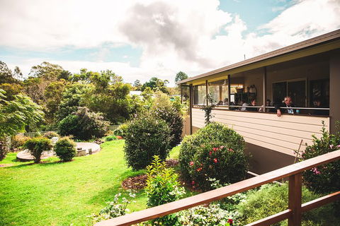 Full-day Springbrook National Park Tour From The Gold Coast - Australian Destinations 2