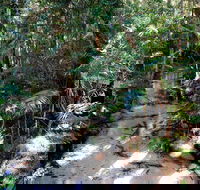Fraser Island 4WD Tour from Rainbow Beach - Australian Destinations