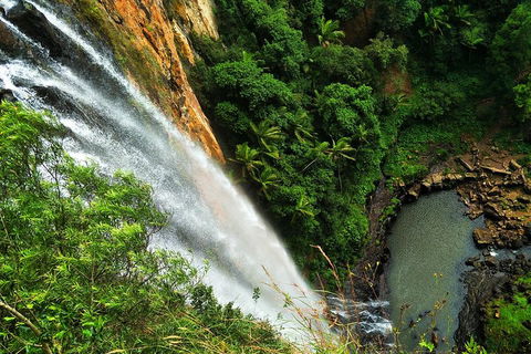 Natural Arch, Rainforest & Volcano Canyon - Private Half Day Tour - Australian Destinations 5