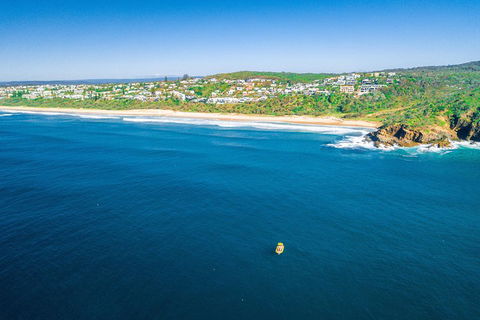 Noosa Oceanrider Scenic Dolphin Safari - Australian Destinations 4