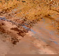 Scenic Flight Lizard Safari - Australian Destinations