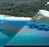 All Inclusive Tangalooma Wrecks Cruise Tour From Gold Coast - Australian Destinations