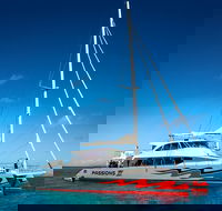Passions of Paradise Great Barrier Reef Snorkel and Dive Cruise from Cairns by Luxury Catamaran - Australian Destinations