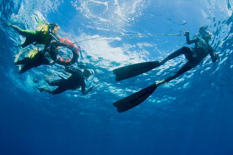 Passions Of Paradise Great Barrier Reef Snorkel And Dive Cruise From Cairns By Luxury Catamaran - Australian Destinations 2