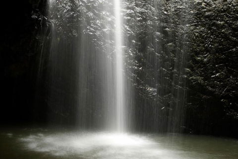 Natural Bridge Glow Worm Night Tour From Gold Coast - Australian Destinations 2