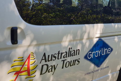Natural Bridge Glow Worm Night Tour From Gold Coast - Australian Destinations 5