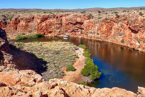 Ningaloo In A Day - Full Day Hike And Snorkel Tour With Lunch - Australian Destinations 2