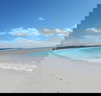 Shipwreck Special Nature Tour/Half Day Tour - Australian Destinations